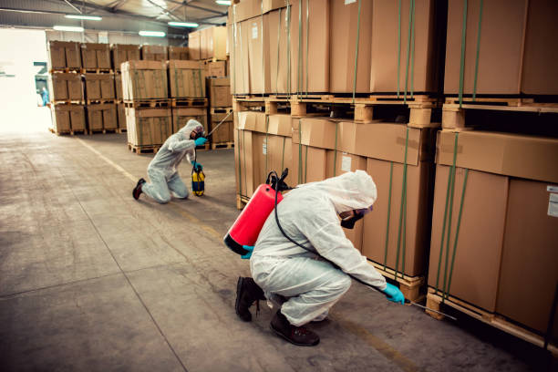 Best Best Pest Control Companies  in San Antonio, FL