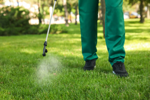 Best Bed Bug Extermination  in San Antonio, FL