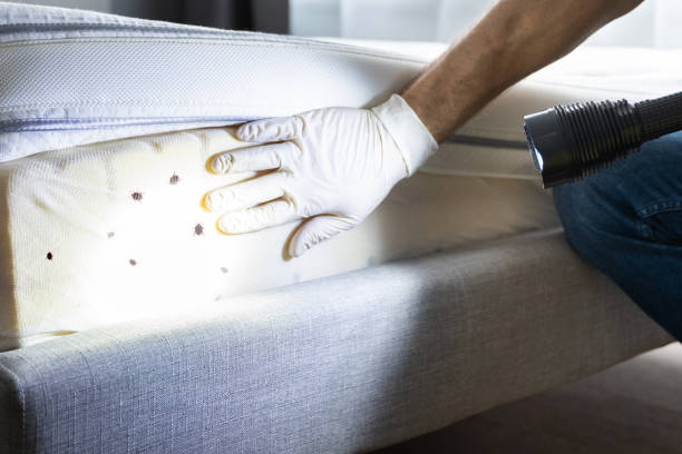 Best Pest Control for Businesses  in San Antonio, FL