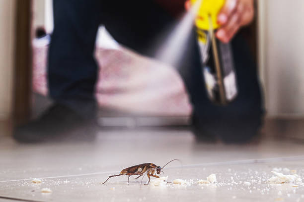 Best Cockroach Control Services  in San Antonio, FL