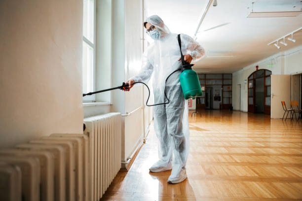 Best Affordable Pest Control Services  in San Antonio, FL