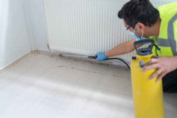 Best Pest Prevention Services  in San Antonio, FL