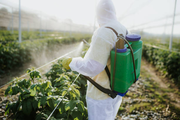 Best Exterminator Services  in San Antonio, FL